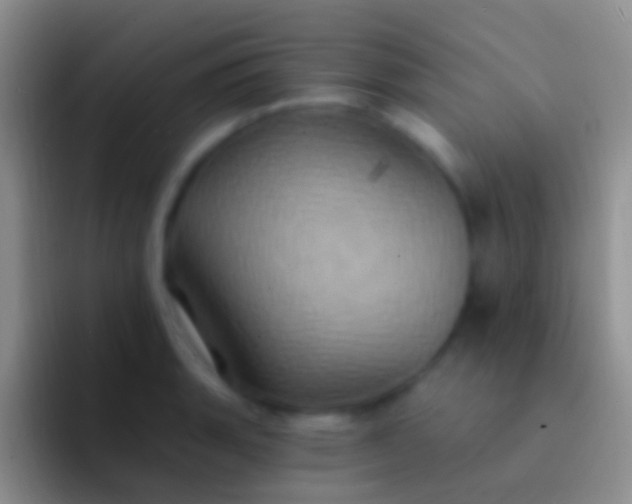 X0000092111135200709262154