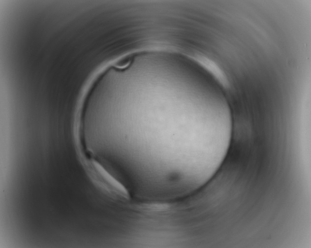 X0000092111136200709262154