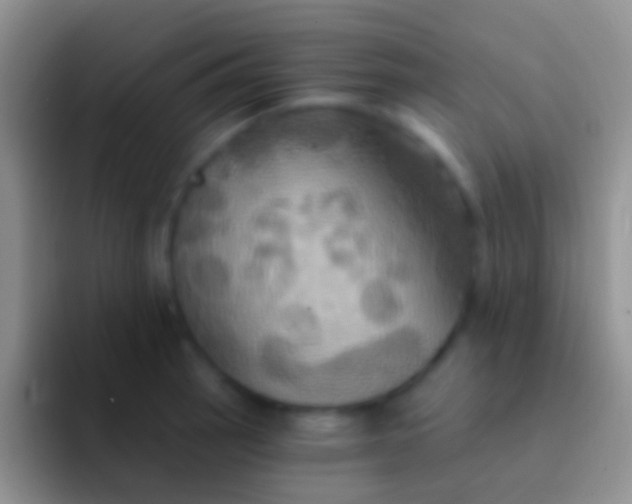 X0000092111137200709262154