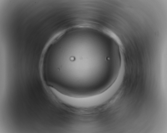 X0000092111138200709262154