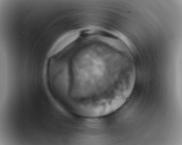 X0000092111142200709262154