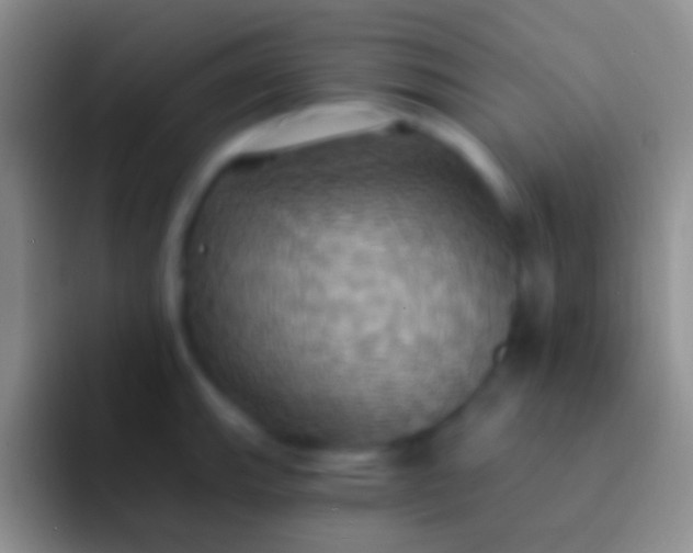 X0000092111143200709262154