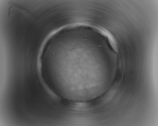 X0000092111144200709262154