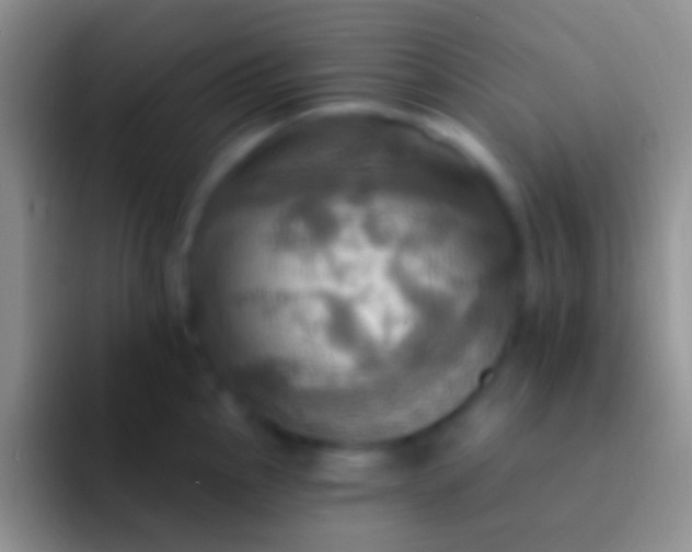 X0000092111145200709262154