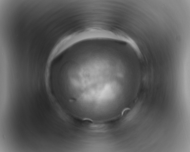 X0000092111146200709262154