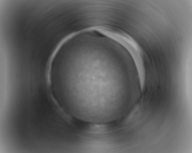 X0000092111148200709262154