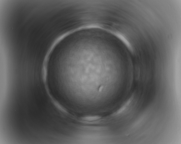 X0000092111151200709262154