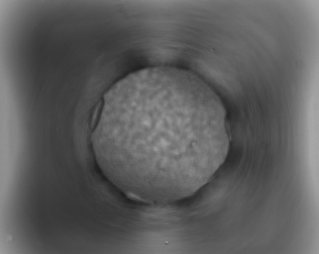 X0000092111153200709262154