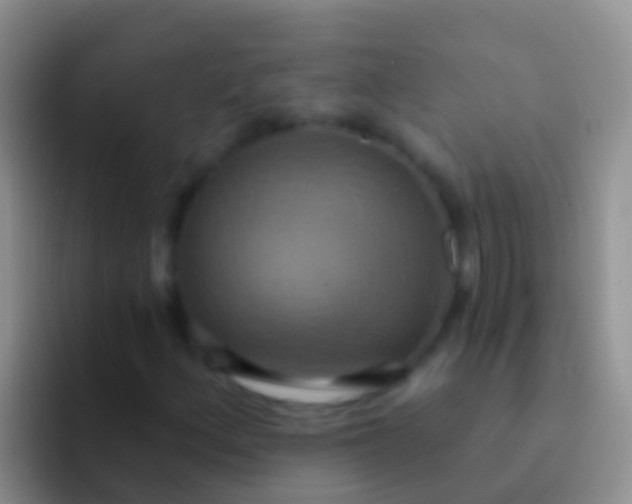 X0000092111156200709262154