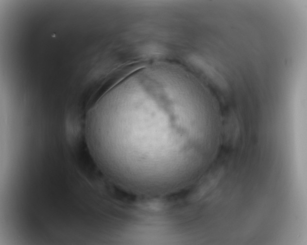 X0000092111157200709262154