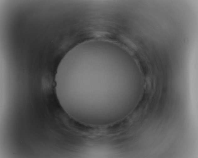 X0000092111158200709262154