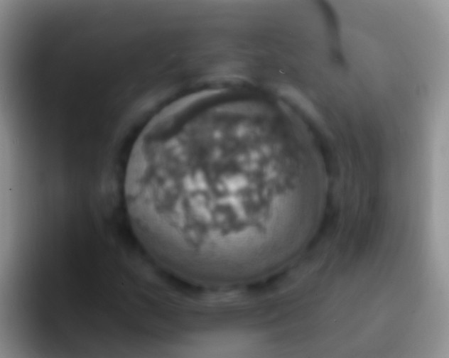 X0000092111159200709262154