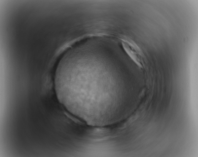 X0000092111160200709262154