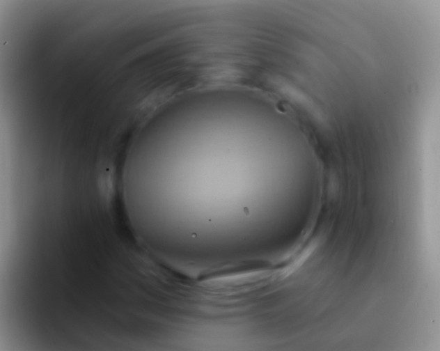 X0000092111161200709262154