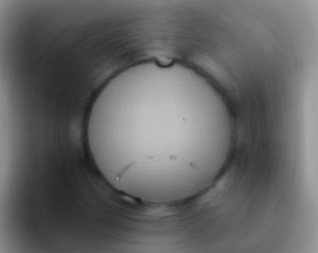 X0000092111162200709262154