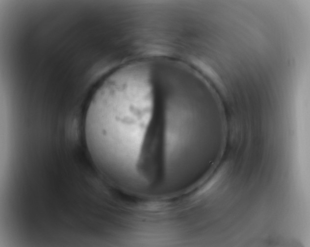 X0000092111163200709262154