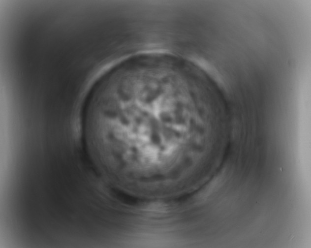 X0000092111167200709262154