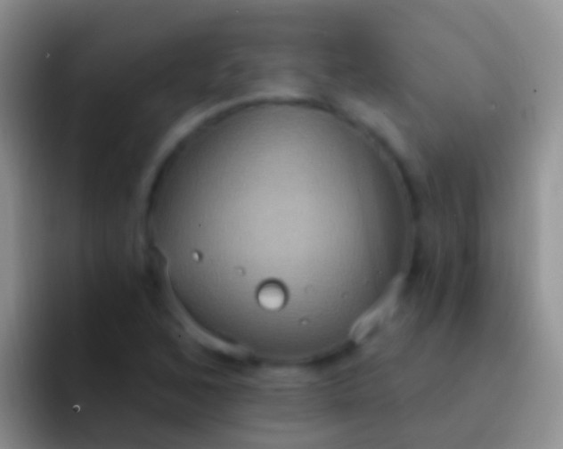 X0000092111168200709262154