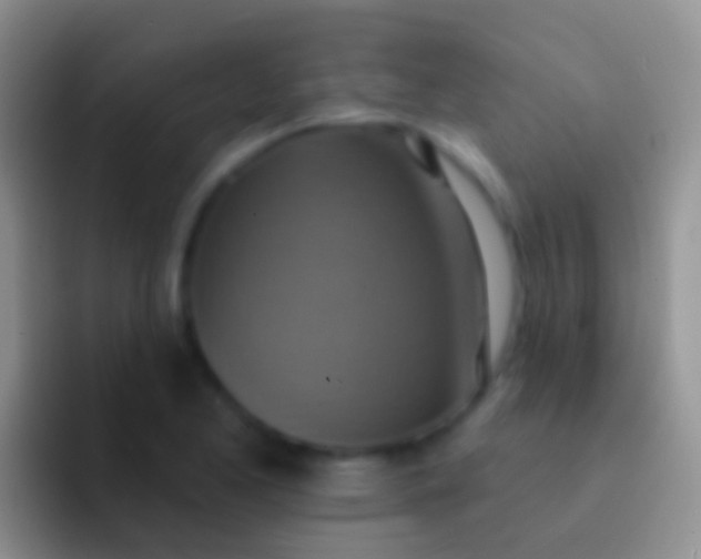 X0000092111173200709262154