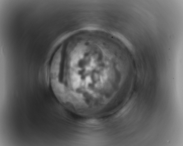 X0000092111175200709262154