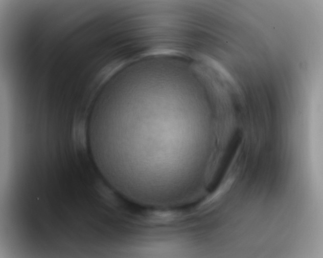 X0000092111177200709262154