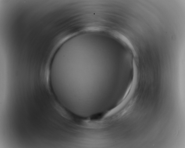 X0000092111179200709262153