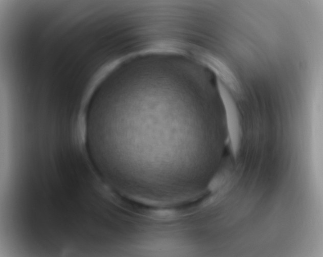 X0000092111180200709262153