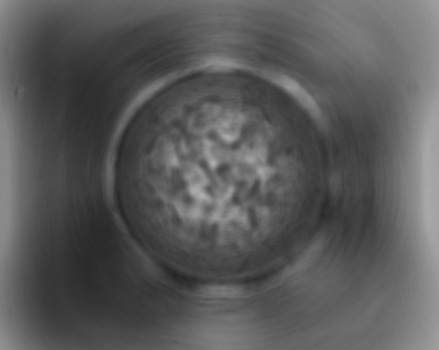 X0000092111183200709262153