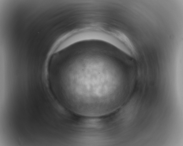 X0000092111184200709262153