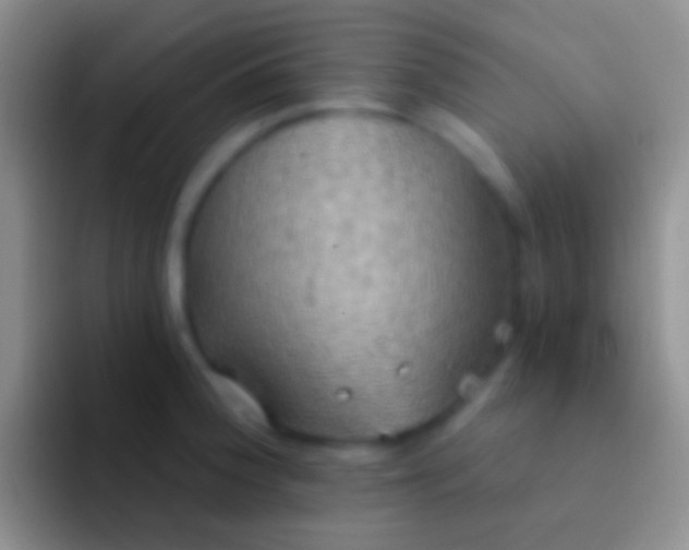 X0000092111188200709262153