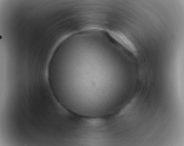 X0000092111189200709262153