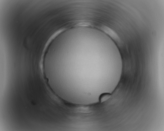 X0000092111190200709262153