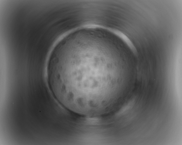 X0000092111191200709262153