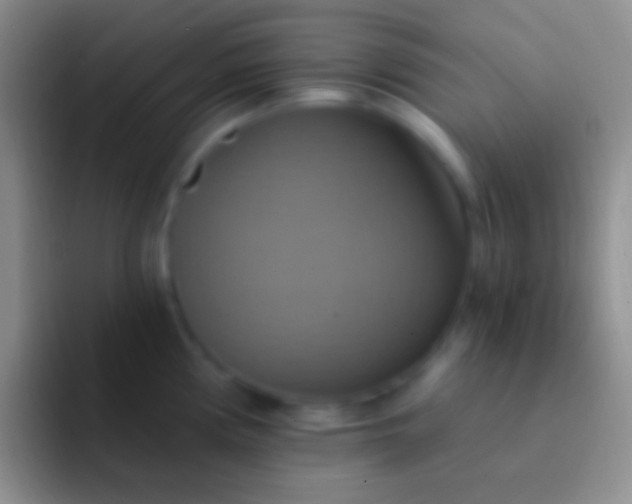 X0000092111194200709262153