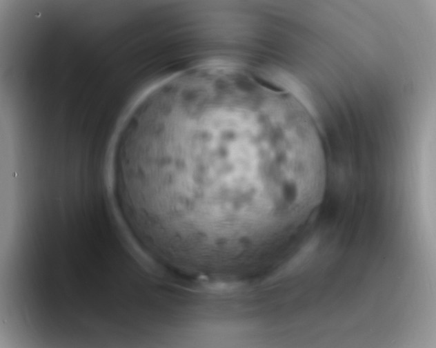 X0000092111195200709262153