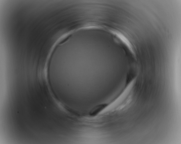 X0000092111197200709262153