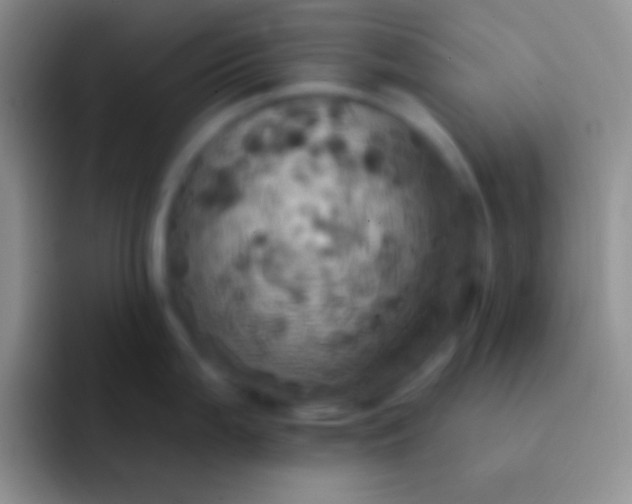 X0000092111199200709262153