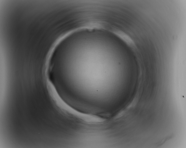 X0000092111200200709262153