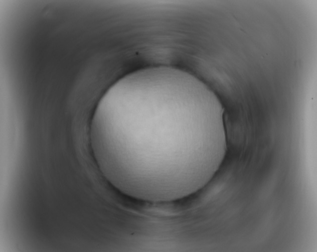 X0000092111201200709262153