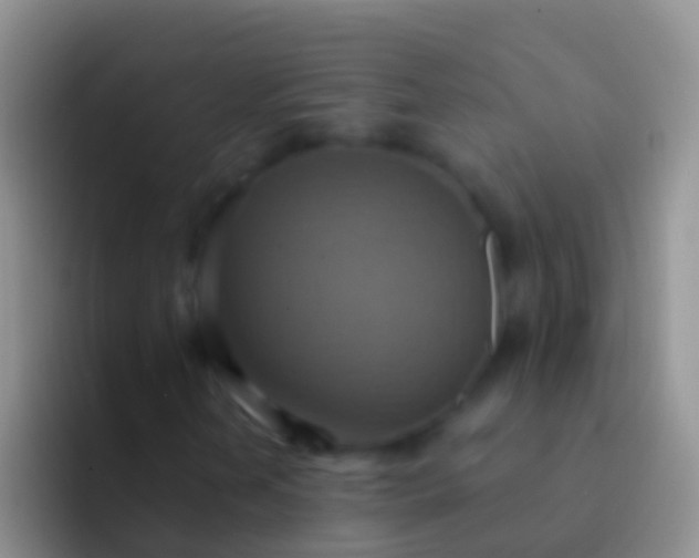 X0000092111202200709262153