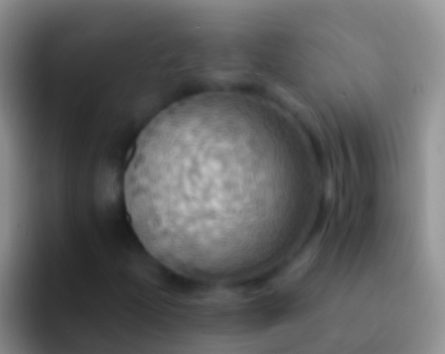 X0000092111204200709262153