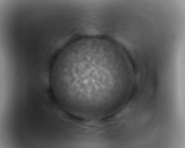 X0000092111205200709262153