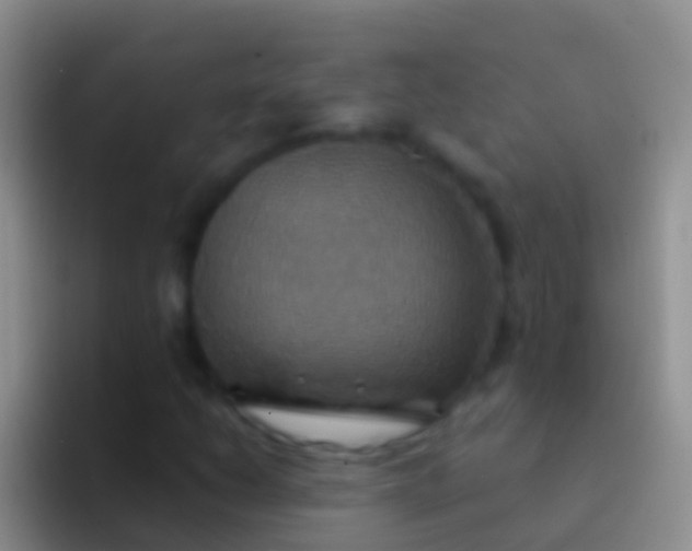 X0000092111206200709262153