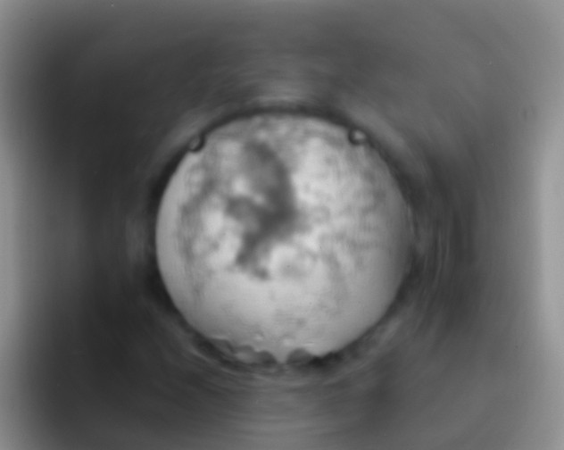 X0000092111208200709262153