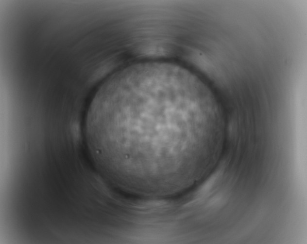 X0000092111209200709262153