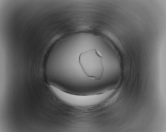 X0000092111210200709262153