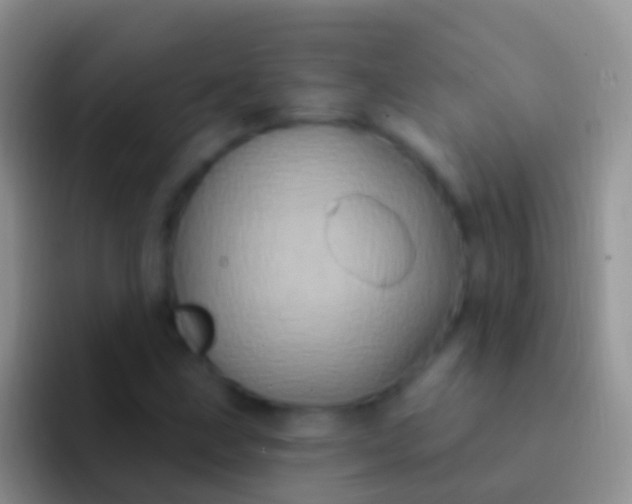 X0000092111211200709262153