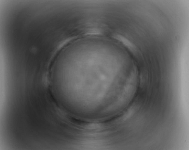 X0000092111212200709262153