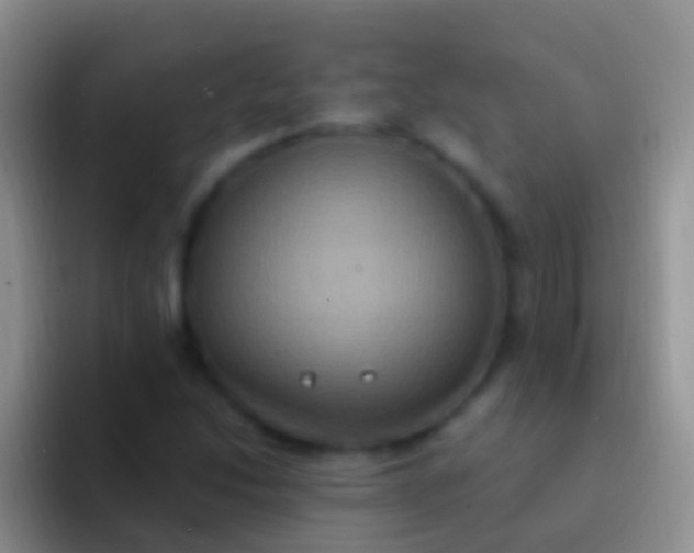 X0000092111214200709262153