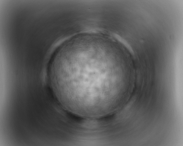 X0000092111215200709262153